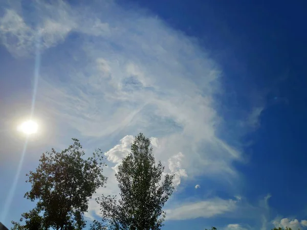 明るい太陽、前景と太陽のまぶしさの雲と木々と夏の青空の写真 — ストック写真