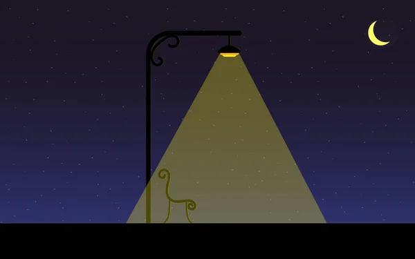 Vector Ilustración Romántico Noche Paisaje Negro Silueta Una Linterna Que — Vector de stock