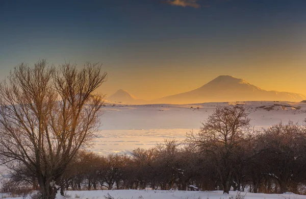 Puesta Sol Oro Sobre Bosque Las Montañas Ararat — Foto de Stock