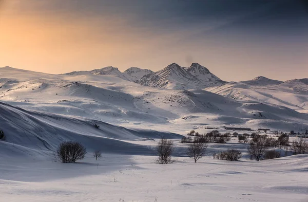 Vackra Vinter Fält Och Träd Vid Solnedgången — Stockfoto