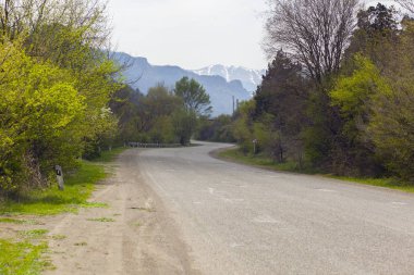 Bahar dolambaçlı dağ yolu ve orman