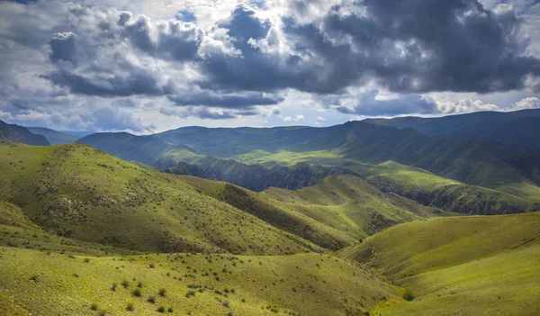 Hermoso Bosque Hierba Verde Las Montañas —  Fotos de Stock