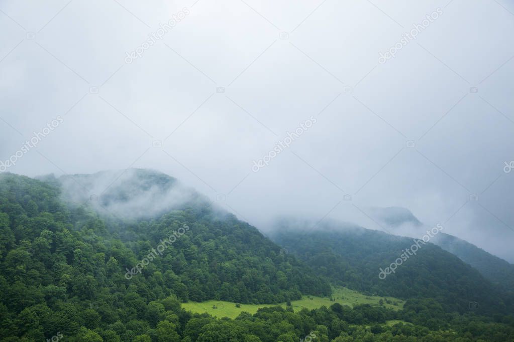 Clouds and fog over green tree forest