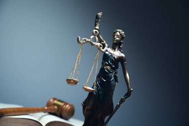 Bayan Adalet, hukuk kütüphanesi kavramı