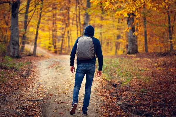 秋の森の道の男 — ストック写真