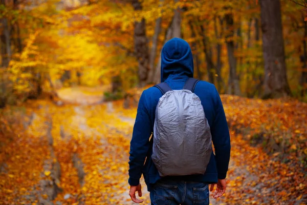 秋の森の道の男 — ストック写真