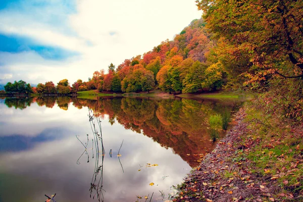 Arbres Automne Avec Lac — Photo