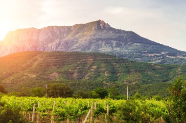 Gün batımı bağlar. Mesafe dağlarda