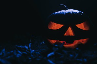 Balkabağım. Balkabağı feneri. Cadılar Bayramı sembolü..