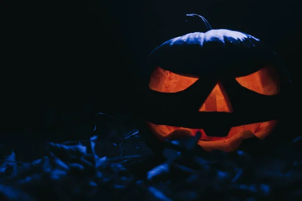 Balkabağım. Balkabağı feneri. Cadılar Bayramı sembolü..