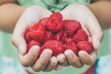 Çocuk elleri ahududu ile Çocukların elleri lezzetli böğürtlen tutuyor