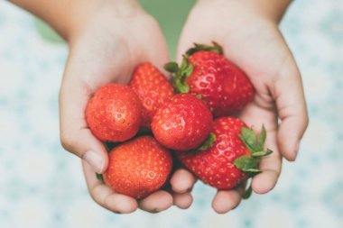 Çilekli çocuk elleri Çocukların elleri lezzetli meyveler tutuyor