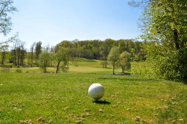 Een Golfbal Een Golfbaan Voor Tee Box — Stockfoto