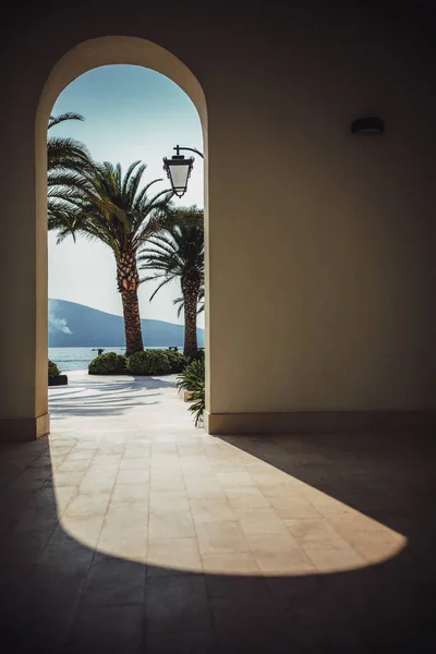 View from house to palms and mountains