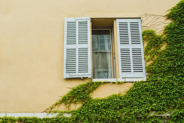 Yellow house with window and green ivy