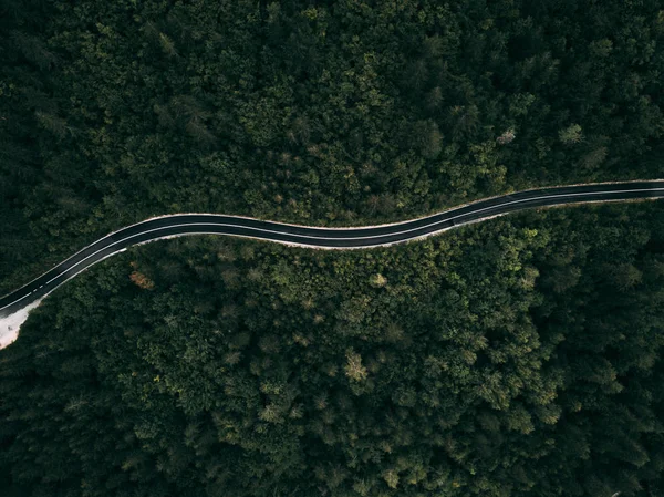 Forest mountain road - aerial view
