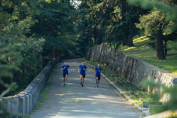Group of professional male athletes running in park on morning training