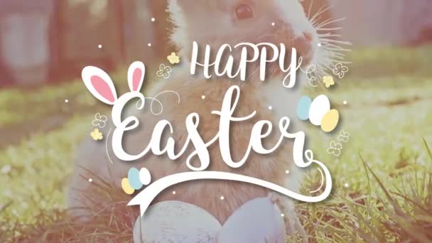 Kelinci Putih Paskah Dengan Telur Paskah Duduk Rumput — Stok Video
