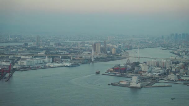 Flygfoto Över Osaka Stad Japan — Stockvideo