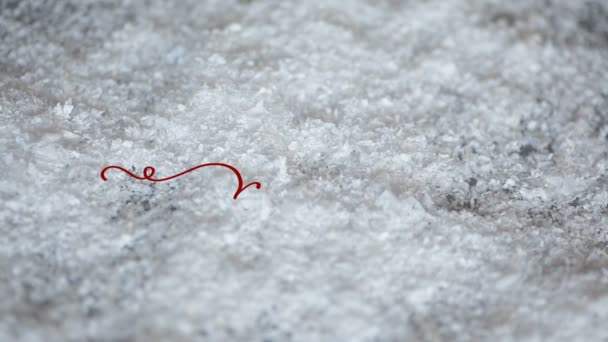 雪を背景にヴィンテージ風に書かれたノエルのアニメーション — ストック動画