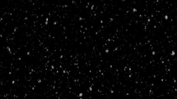 Fallande regndroppar eller snö mot svart bakgrund 2 — Stockvideo