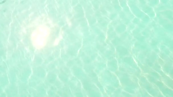 池水表面 以作品为背景2 — 图库视频影像