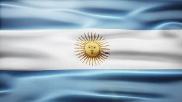 Arjantin Bayrak Hareketi Arka Planı — Stok video