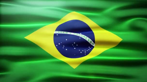 Fondo Del Movimiento Bandera Brasil — Vídeo de stock