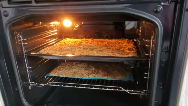 View Cake Oven Door Open — Stock Video