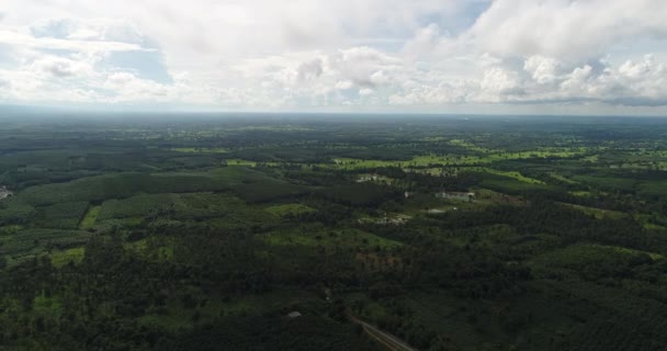 Letecký Pohled Zelený Deštný Prales Thajska — Stock video