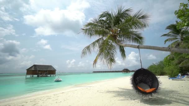 Hermosa Playa Tropical Isla Maldivas Palmeras Una Silla Una Casa — Vídeos de Stock