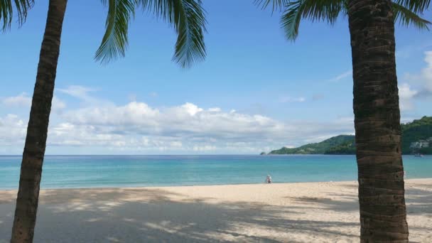 Bella Spiaggia Tropicale Oceano Tra Due Alberi Cocco — Video Stock