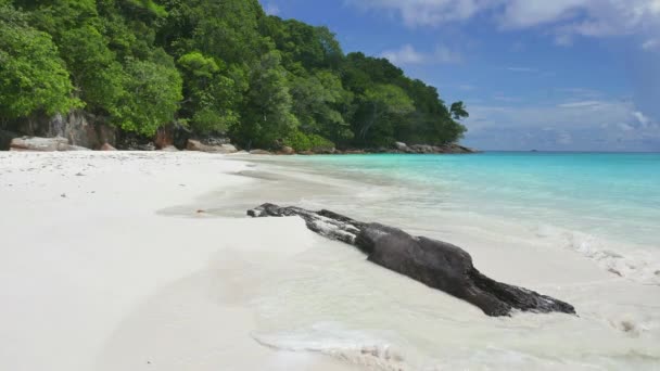 Prachtig Tropisch Strand Zee Oceaan — Stockvideo