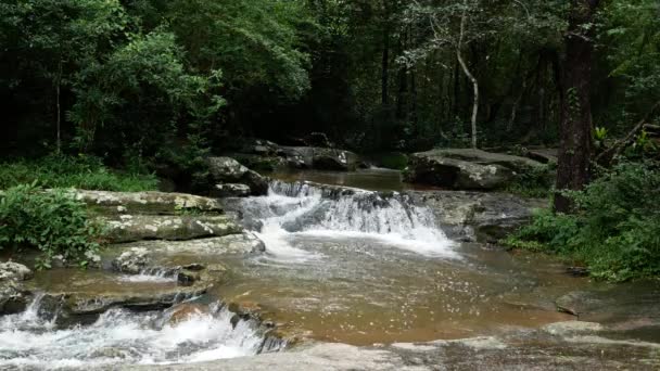 Bela Cachoeira Floresta Tropical — Vídeo de Stock