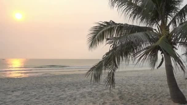 Plage Tropicale Coucher Soleil — Video