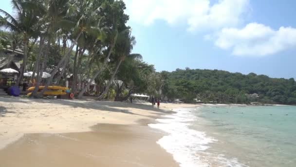 Playa Tropical Con Muchos Árboles Algunas Construcciones — Vídeos de Stock
