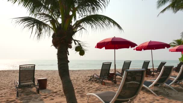 Ομπρέλα Και Καρέκλες Στην Παραλία Θέα Στη Θάλασσα — Αρχείο Βίντεο