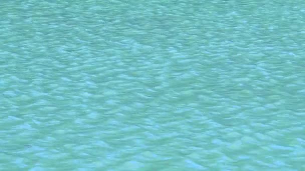Волны Искусственном Озере Чапультепек Мексика — стоковое видео