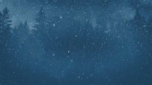 Зимової Нічної Анімації Фону — стокове відео