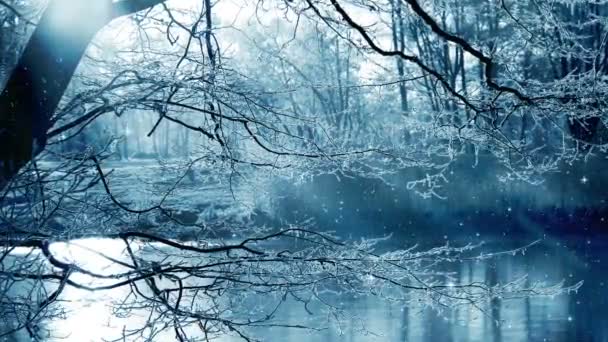 Winter Landschap Achtergrond Dalende Sterren — Stockvideo