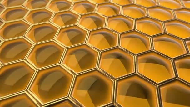 Honeycomb Bärnsten Safir Smaragd Bakgrunder — Stockvideo