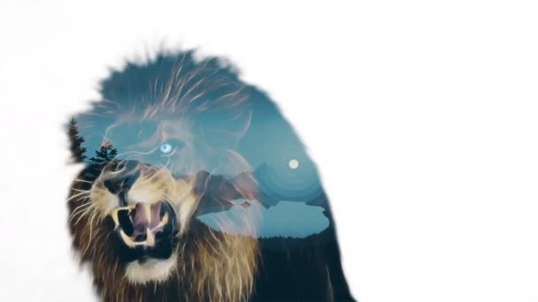 Lion Double Exposition — Video