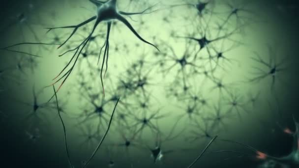 Vídeo Neuronas Animaciones Médicas — Vídeo de stock