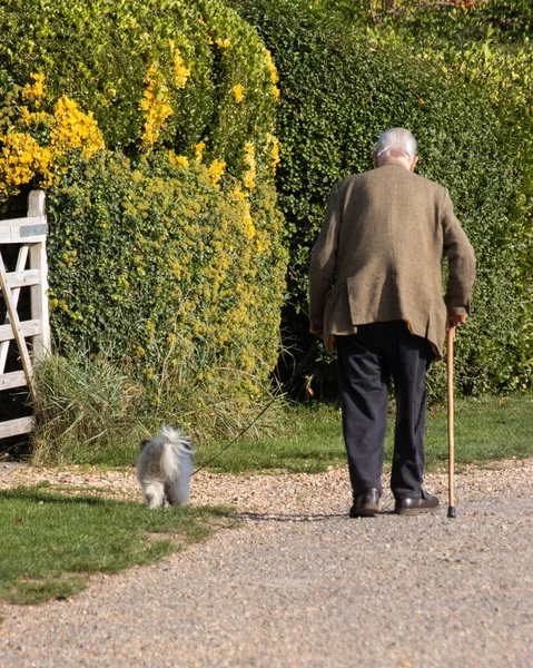 an old man with a walking stick or cane walking his dog