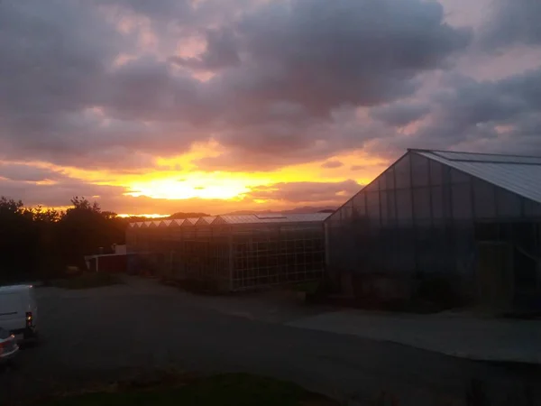 Sonnenuntergang Norwegischen Gewächshäusern Morgens Vor Der Arbeit — Stockfoto