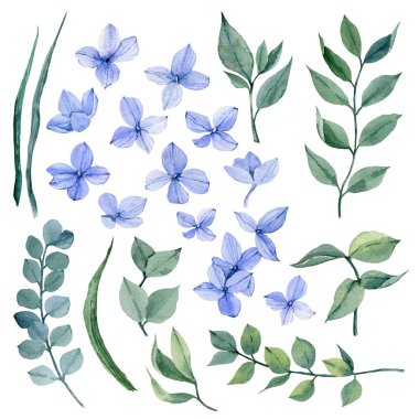 Handpainted suluboya koleksiyonu yaprakları. Kartlar, desenler, çiçekler kompozisyonları, çerçeveler, düğün kartları ve Davetiyeler için idealdir.