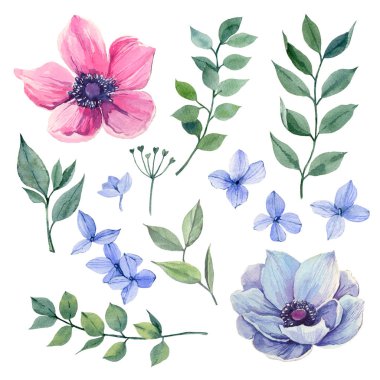 Handpainted suluboya koleksiyonu yaprakları. Kartlar, desenler, çiçekler kompozisyonları, çerçeveler, düğün kartları ve Davetiyeler için idealdir.