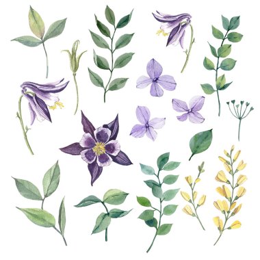 Handpainted suluboya koleksiyonu yaprakları. Kartlar, desenler, çiçekler kompozisyonları, çerçeveler, düğün kartları ve Davetiyeler için idealdir.