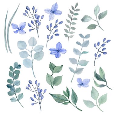 Handpainted suluboya koleksiyonu yaprakları. Kartlar, desenler, çiçekler kompozisyonları, çerçeveler, düğün kartları ve Davetiyeler için idealdir.