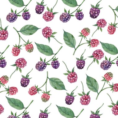 Elle çizilmiş suluboya illüstrasyon. Yaprakları dalları ve yaprakları ile Botanik clipart. Yeşil. Çiçek Tasarım elemanları. Düğün davetiyeleri, kartlar, baskılar, posterler, ambalaj için mükemmel